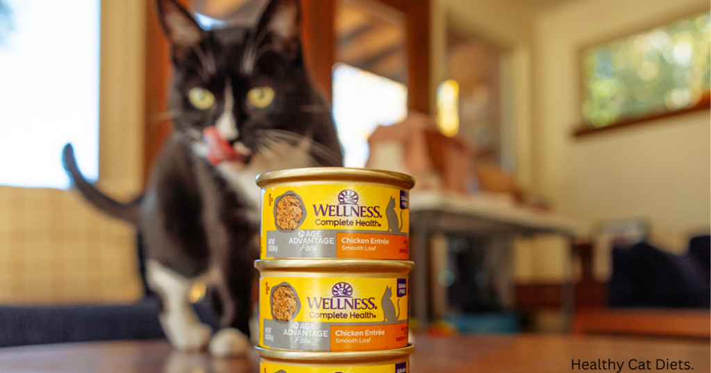 Is 2 Cans of Wet Food a Day Enough for a Cat?