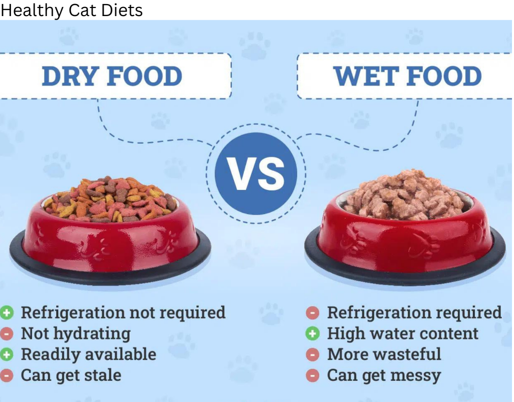 Wet Food vs. Dry Food: Finding the Right Balance