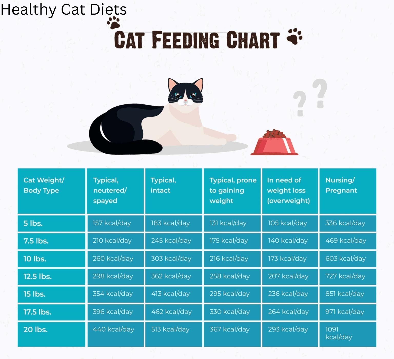 How Much Food Should I Feed My Cat? Expert Tips for the Perfect Portion