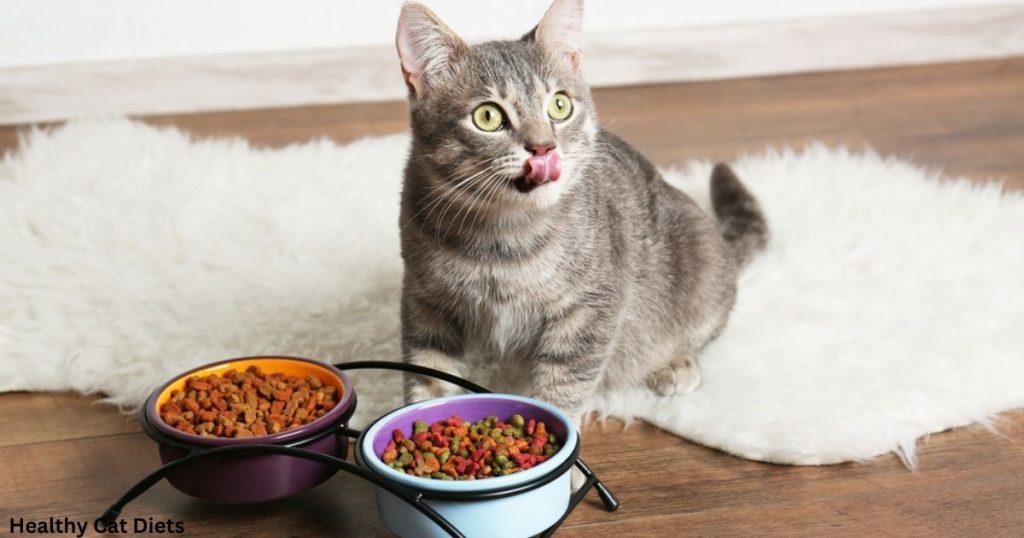 Can Normal Cats Eat Urinary Food