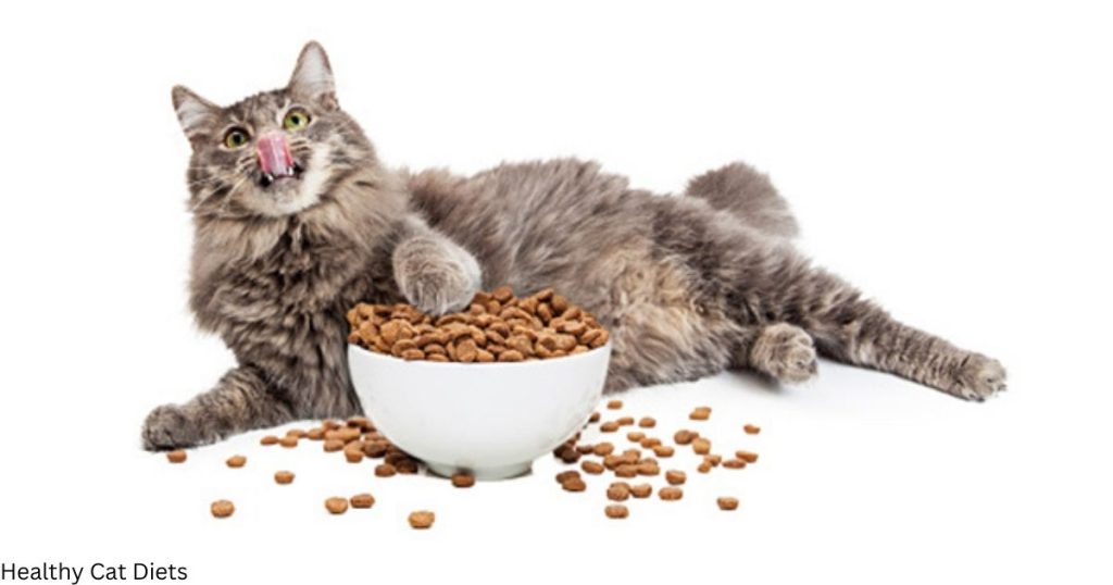 Healthy Cat Diets