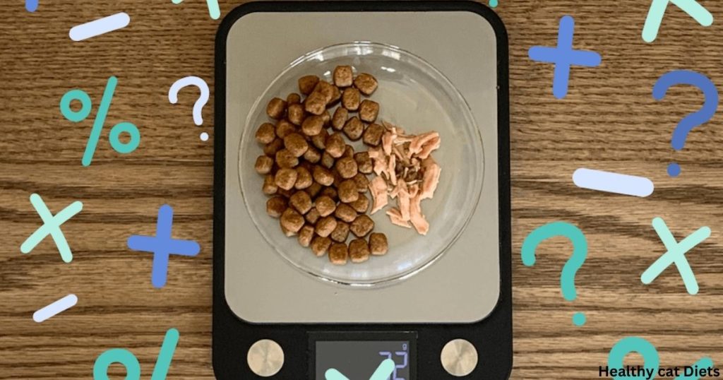 How Much Dry Food to Feed a Cat