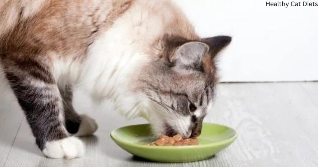 Managing Your Cat’s Diet