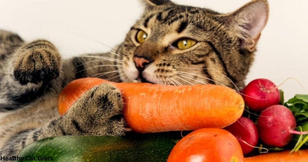 Safe Vegetables for Cats