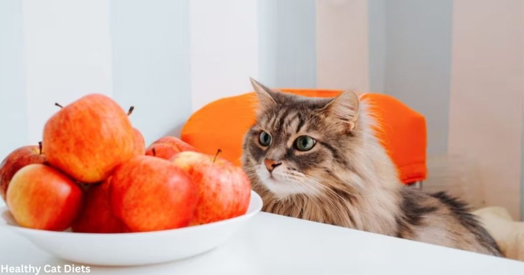 What Human Foods Can Cats Eat