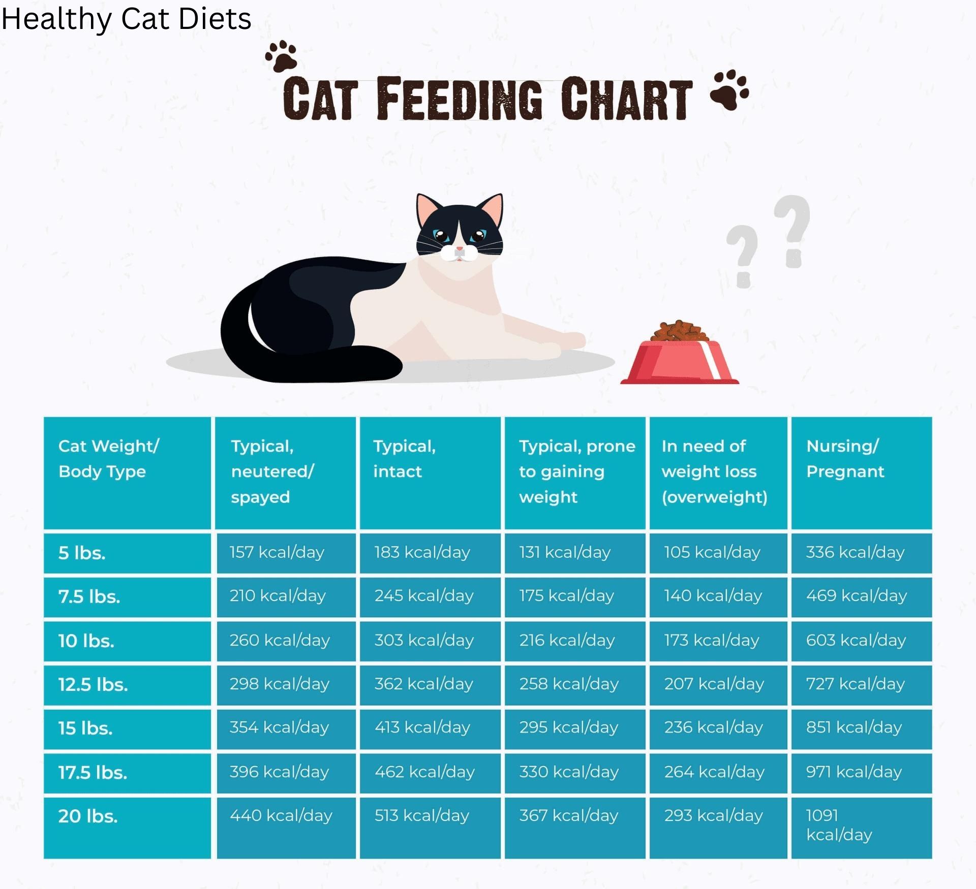 how much dry food should a cat eat a day