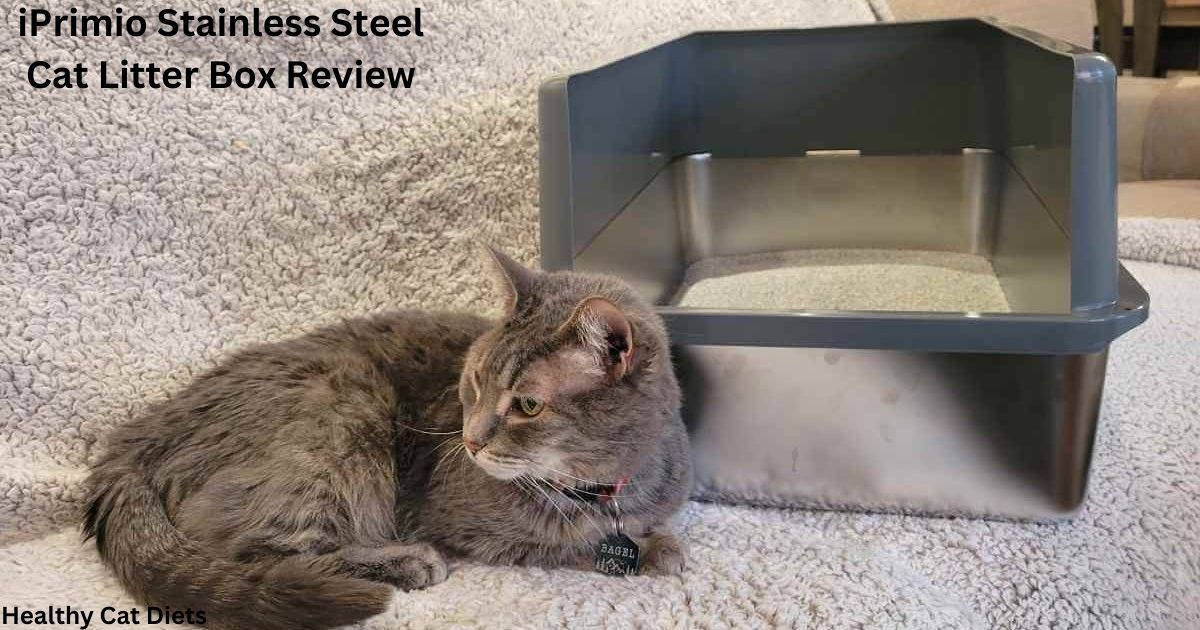 iPrimio Stainless Steel Cat Litter Box Review