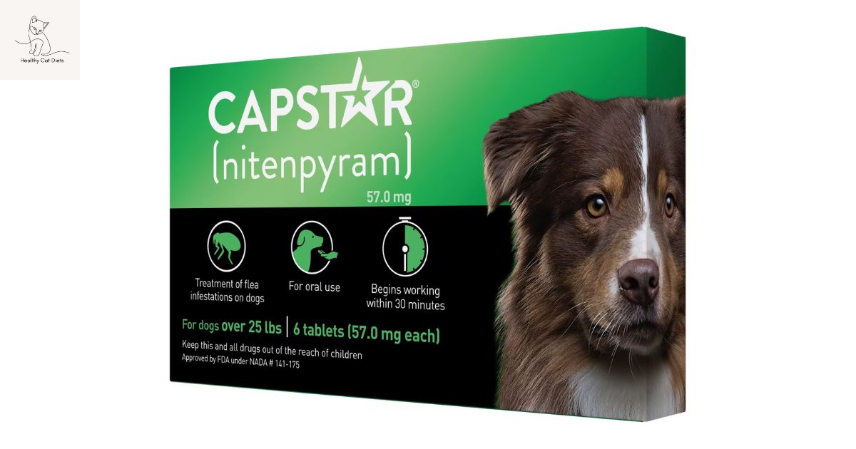 Capstar: Your Go-To Solution for Flea Control in Pets