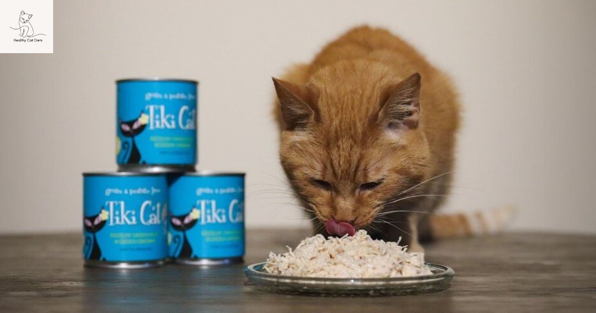 What is Comparable to Figaro Cat Food? Top Alternatives for Your Furry Friend