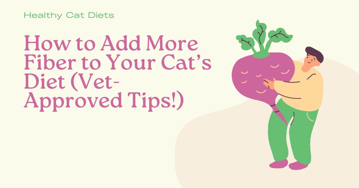 How to Add More Fiber to Your Cat’s Diet