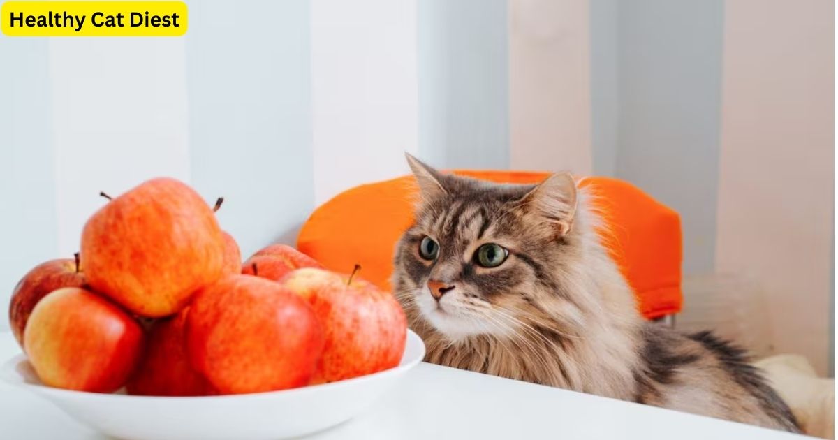 What Human Food Can Cats Eat Daily