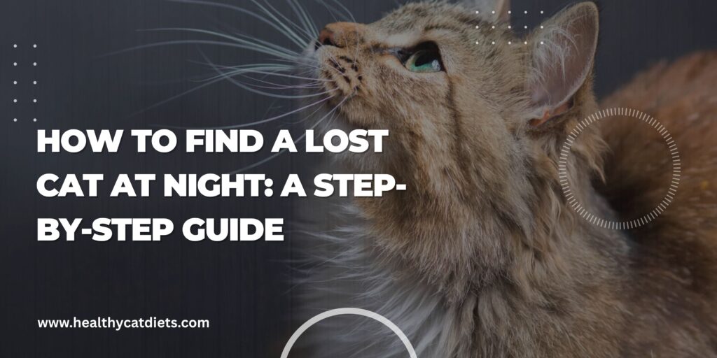 How to Find a Lost Cat at Night
