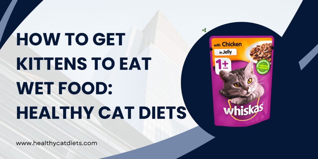 kittens Wet Food