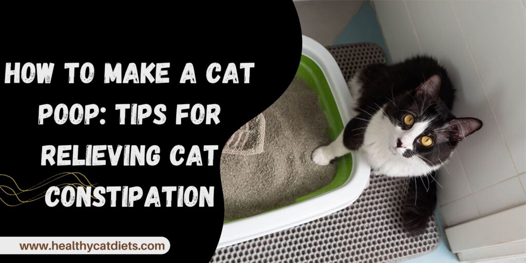 How to Make a Cat Poop