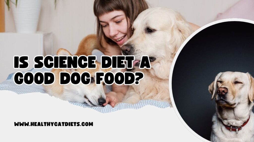 Is Science Diet a Good Dog Food