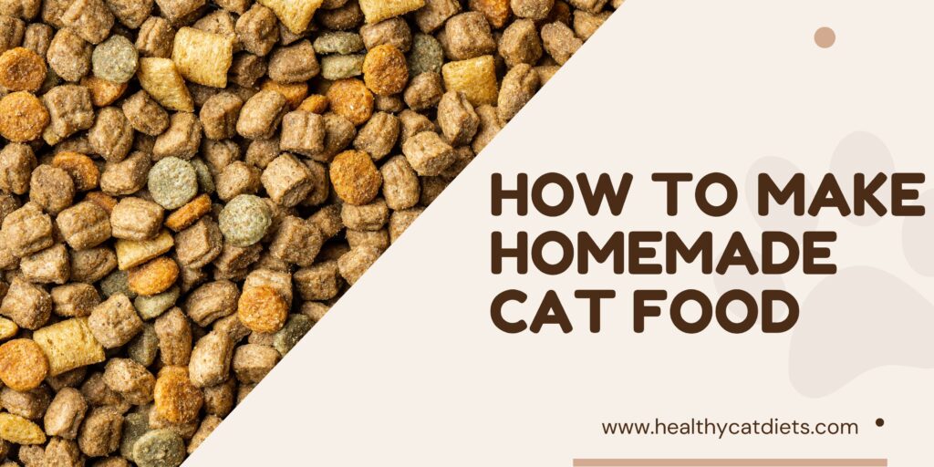 Homemade Cat Food