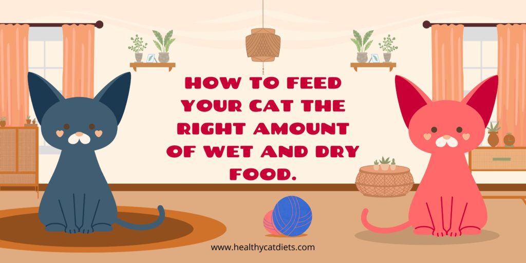 wet cat food