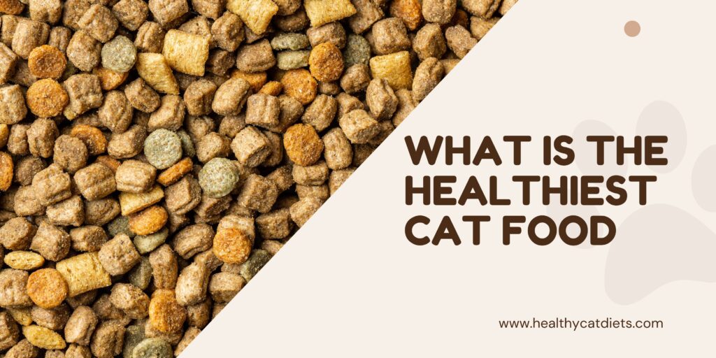 healthiest cat food