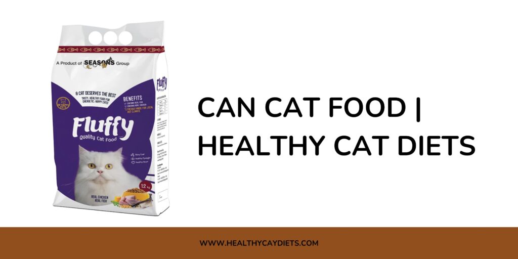 Can Cat Food