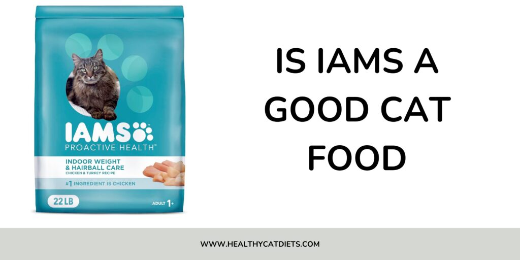 Is Iams a Good Cat Food