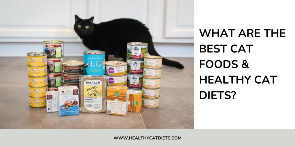 What Are the Best Cat Foods