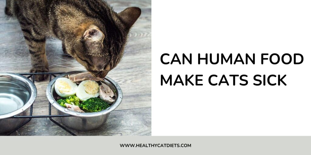 Can Human Food Make Cats Sick