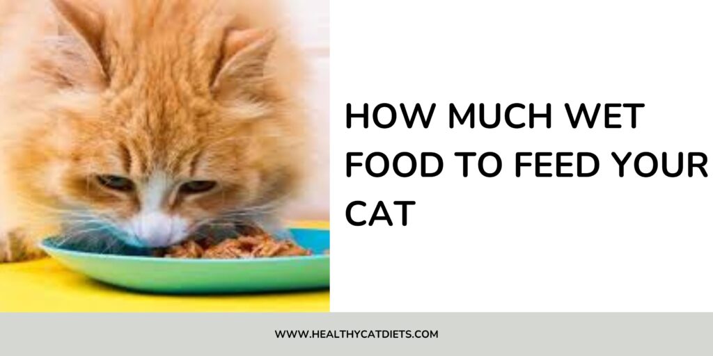 Wet Food