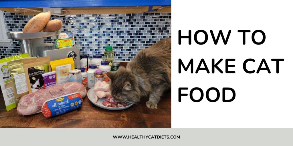 How to Make Cat Food