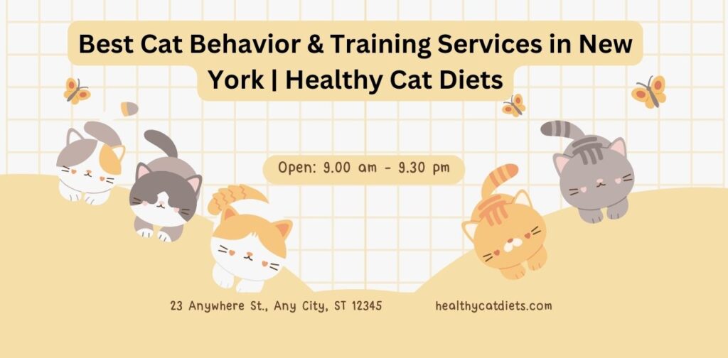 Best Cat Behavior & Training Services in New York