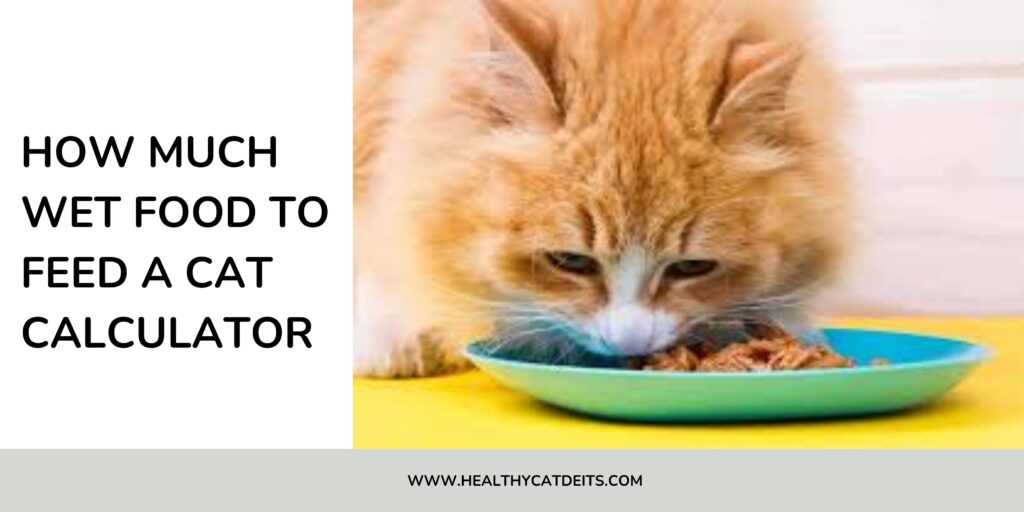 Wet Food to Feed a Cat Calculator