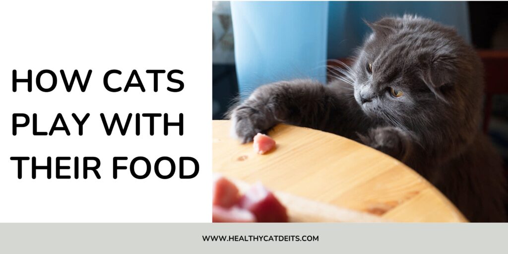 How Cats Play With Their Food