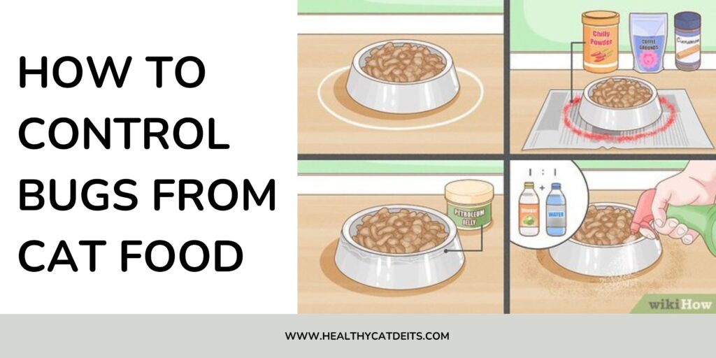 How to Control Bugs from Cat Food