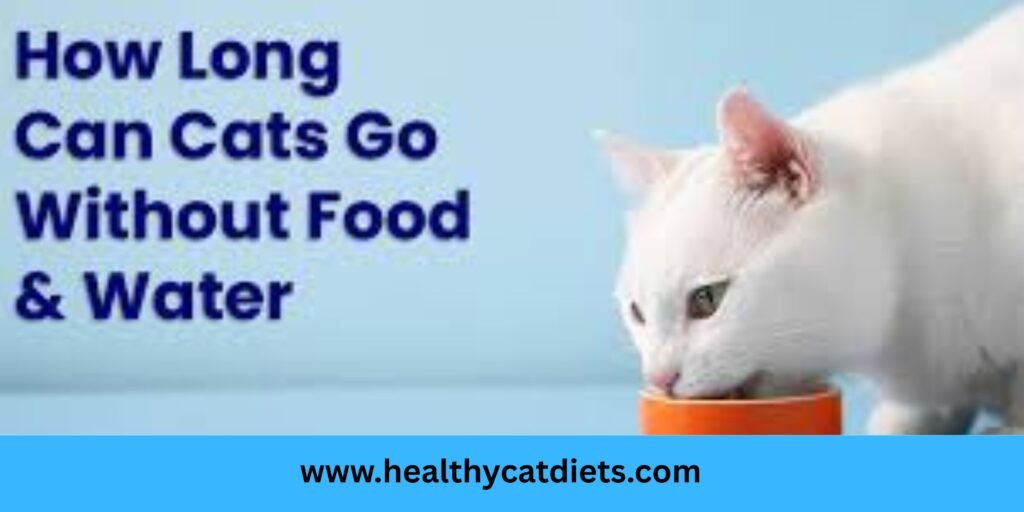How Long Can a Cat Live Without Food and Water?