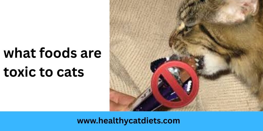 What Foods Are Toxic to Cats?