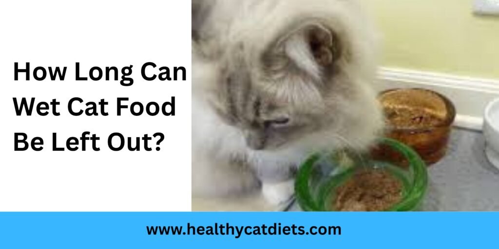 How Long Can Wet Cat Food Be Left Out?