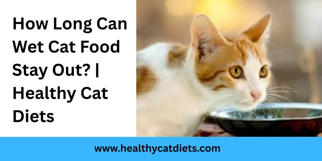 How Long Can Wet Cat Food Stay Out? | Healthy Cat Diets