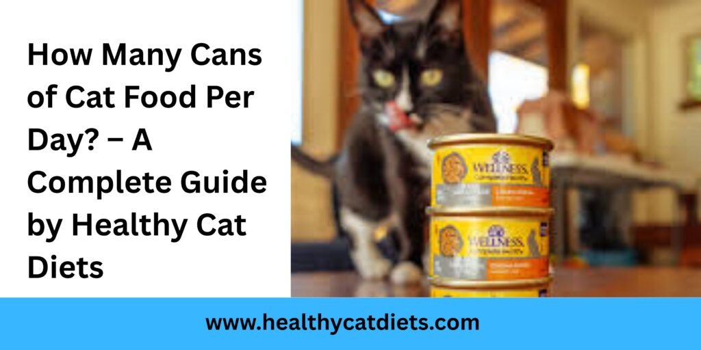 How Many Cans of Cat Food Per Day? – A Complete Guide by Healthy Cat Diets