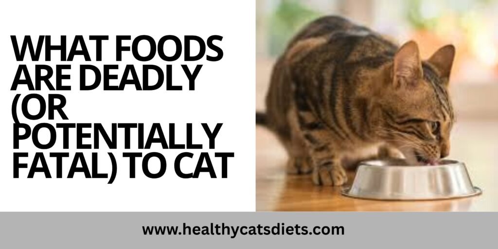 What foods are deadly (or potentially fatal) to cat a clear guide